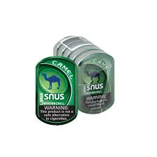 CAMEL SNUS 5 ct (Winterchill Large)