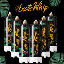 Exotic Whip Cream Chargers 6 Pack-Case